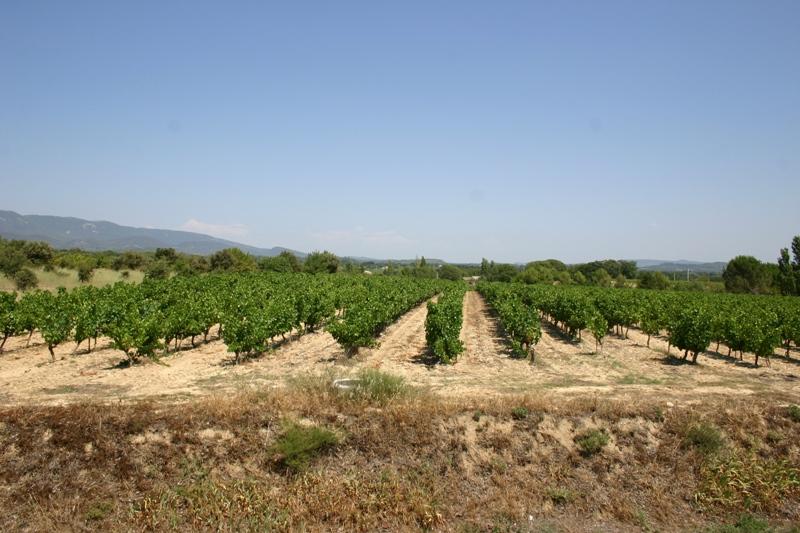 Mas en Provence a vendre avec manege et boxs a chevaux